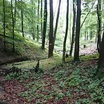 Horská chata Slovak Near Bratislava In The Heart Of The Carpathians Modra