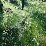 Slovak Near Bratislava In The Heart Of The Carpathians