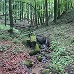 Slovak Near Bratislava In The Heart Of The Carpathians