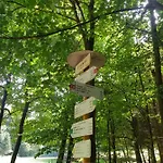 Slovak Near Bratislava In The Heart Of The Carpathians * Modra