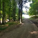 Slovak Near Bratislava In The Heart Of The Carpathians * Modra