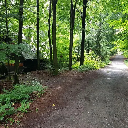 Slovak Near Bratislava In The Heart Of The Carpathians Horská chata