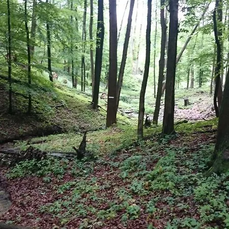 Alpesi faház Slovak Near Bratislava In The Heart Of The Carpathians Modor