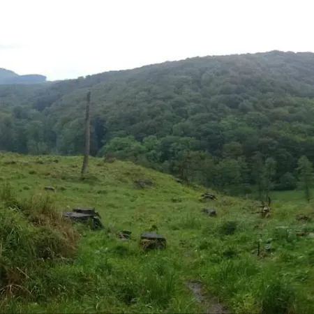 Slovak Near Bratislava In The Heart Of The Carpathians Modor