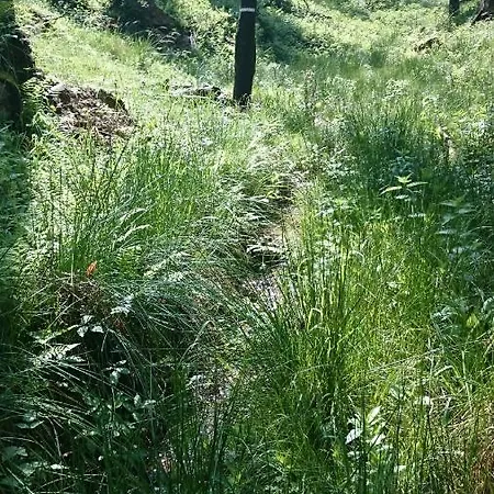 Slovak Near Bratislava In The Heart Of The Carpathians