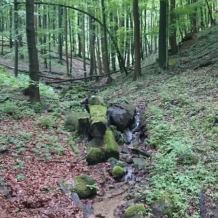 Slovak Near Bratislava In The Heart Of The Carpathians