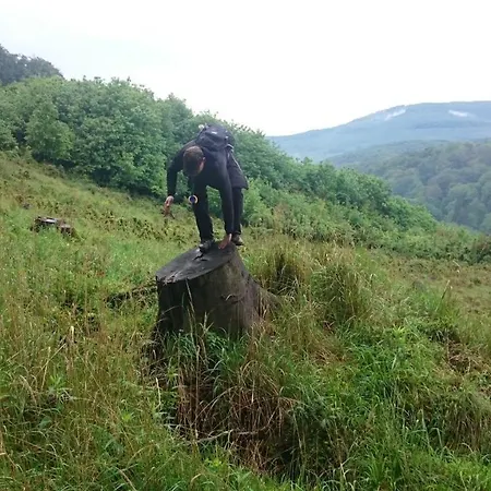 Slovak Near Bratislava In The Heart Of The Carpathians Modor