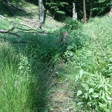 Slovak Near Bratislava In The Heart Of The Carpathians Horská chata *