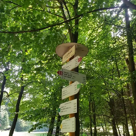 Slovak Near Bratislava In The Heart Of The Carpathians * Modra