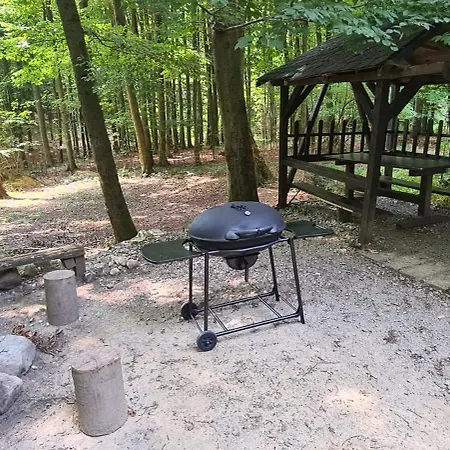 Slovak Near Bratislava In The Heart Of The Carpathians Alpesi faház *