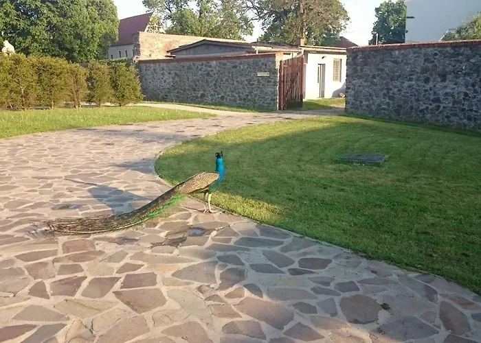 Chalet Slovak Near Bratislava In The Heart Of The Carpathians *
