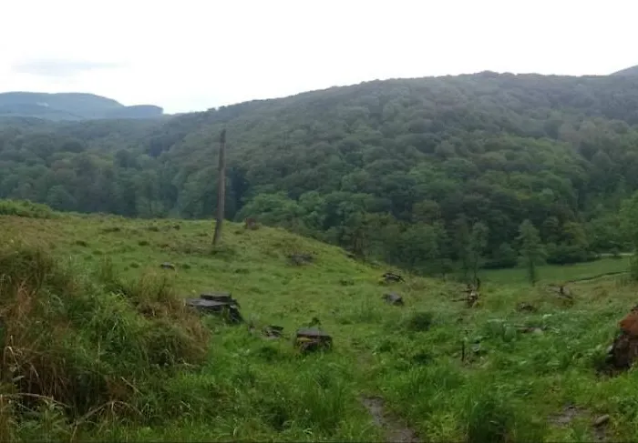 Slovak Near Bratislava In The Heart Of The Carpathians Modra