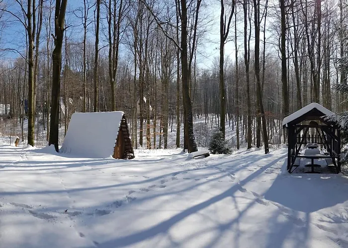 Slovak Near Bratislava In The Heart Of The Carpathians Chalet