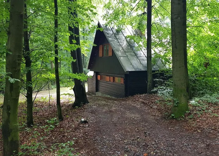 Chalet Slovak Near Bratislava In The Heart Of The Carpathians Modra