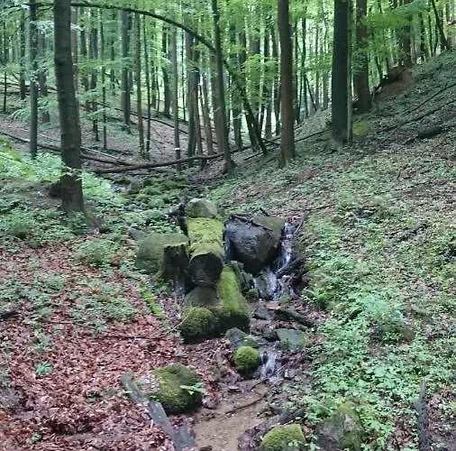 Slovak Near Bratislava In The Heart Of The Carpathians